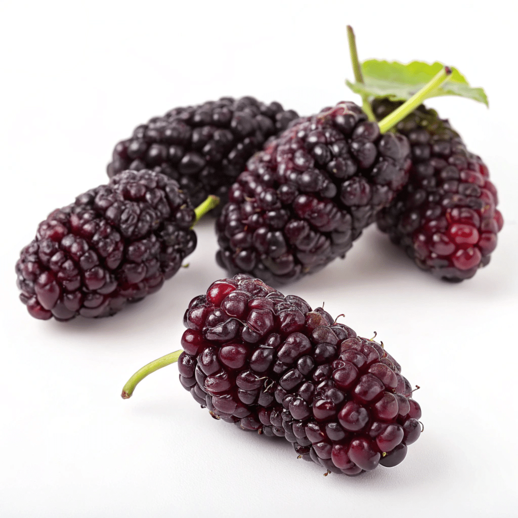 Mulberries